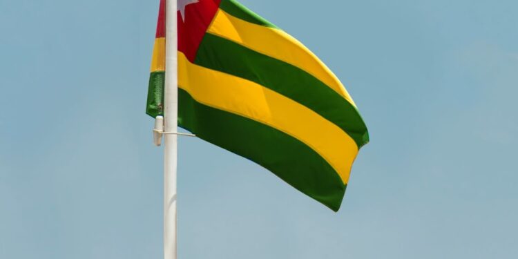 L’Électrification Croissante du Parc Automobile Togolais : Tendances et Progrès