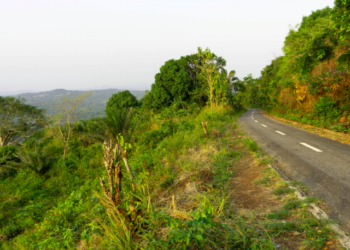 Voyager à travers le Togo : Astuces et Conseils pour un Road Trip Parfait