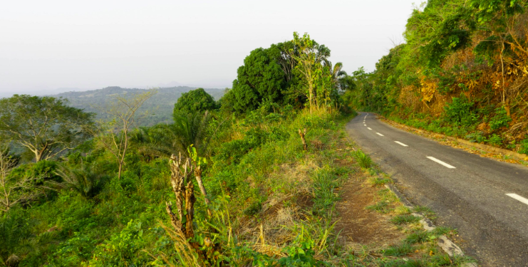 Voyager à travers le Togo : Astuces et Conseils pour un Road Trip Parfait