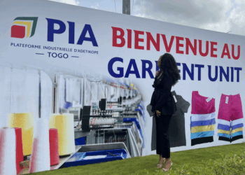 Au-Delà du Moteur : Pourquoi la Zone Industrielle PIA Fait du Togo un Pari pour la Fabrication Automobile Régionale