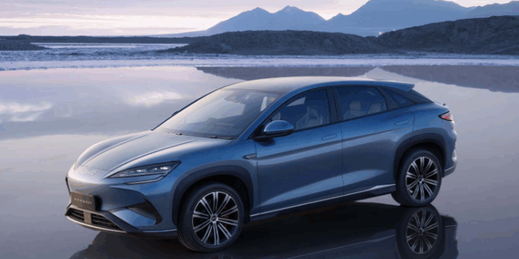 Du Quai à la Prise : Pourquoi le Togo est le Nouveau Carrefour Inattendu de Tesla et BYD en Afrique de l’Ouest